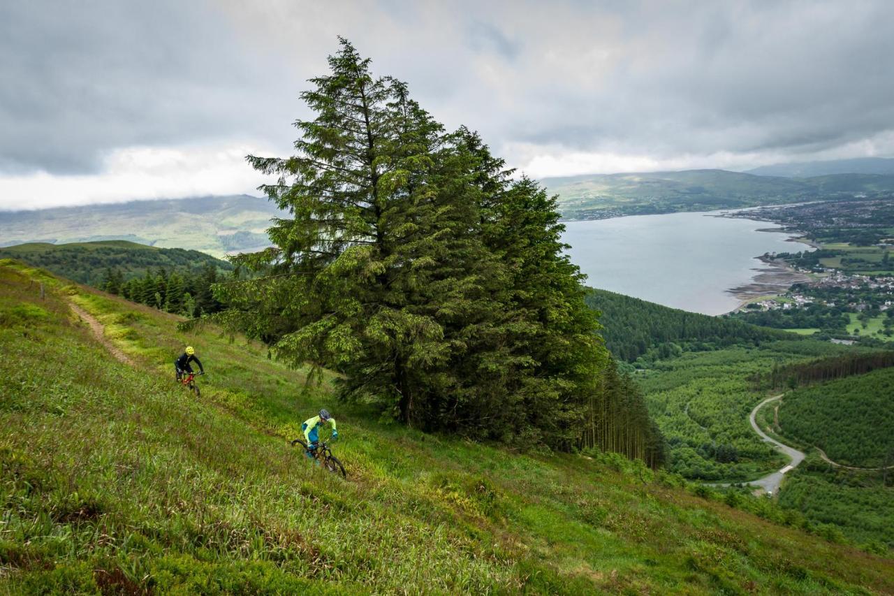 Rostrevor Mountain Lodge - Glamping Pods - Revive Sauna & Hot Tubs Exteriör bild