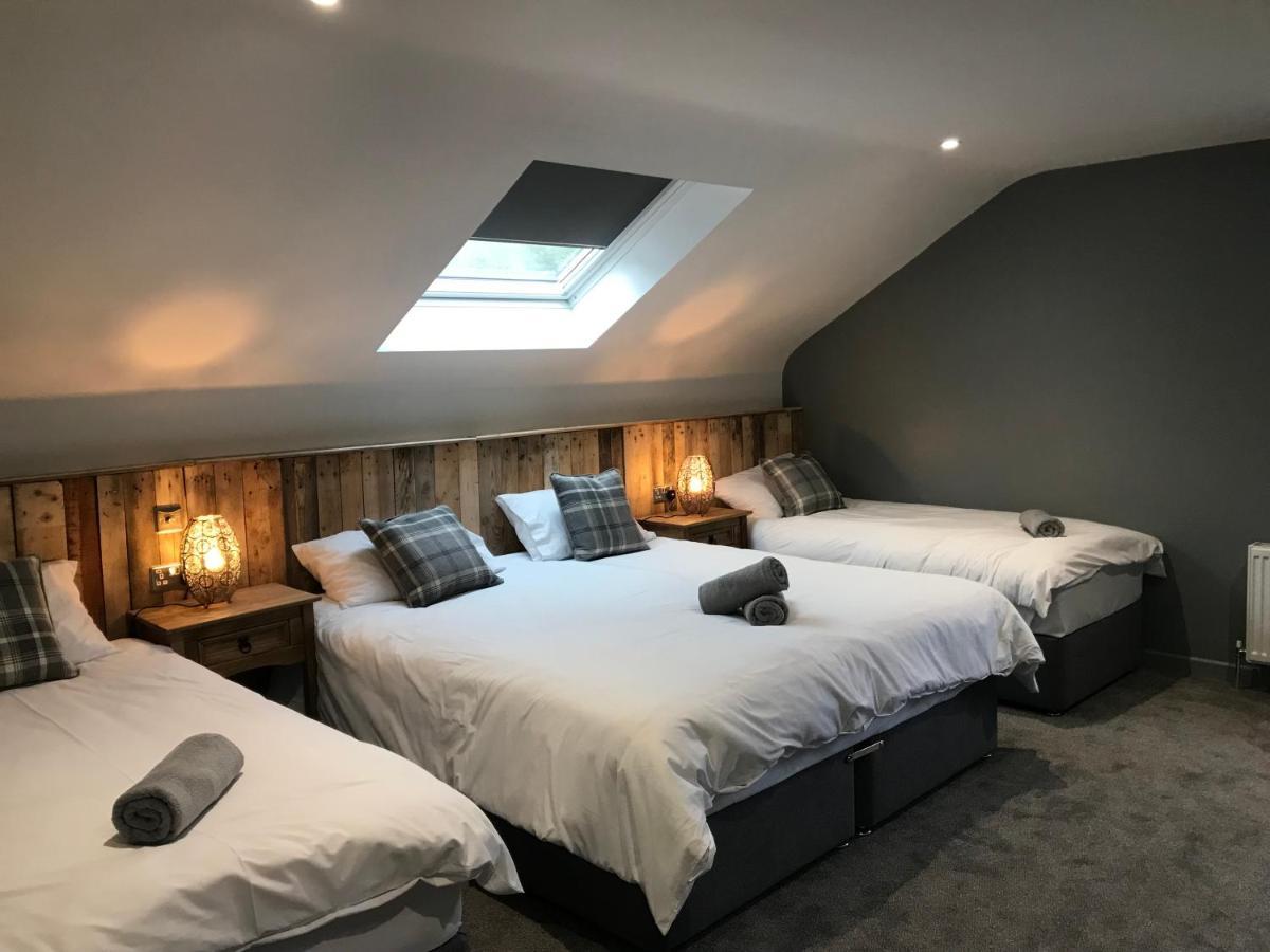 Rostrevor Mountain Lodge - Glamping Pods - Revive Sauna & Hot Tubs Exteriör bild