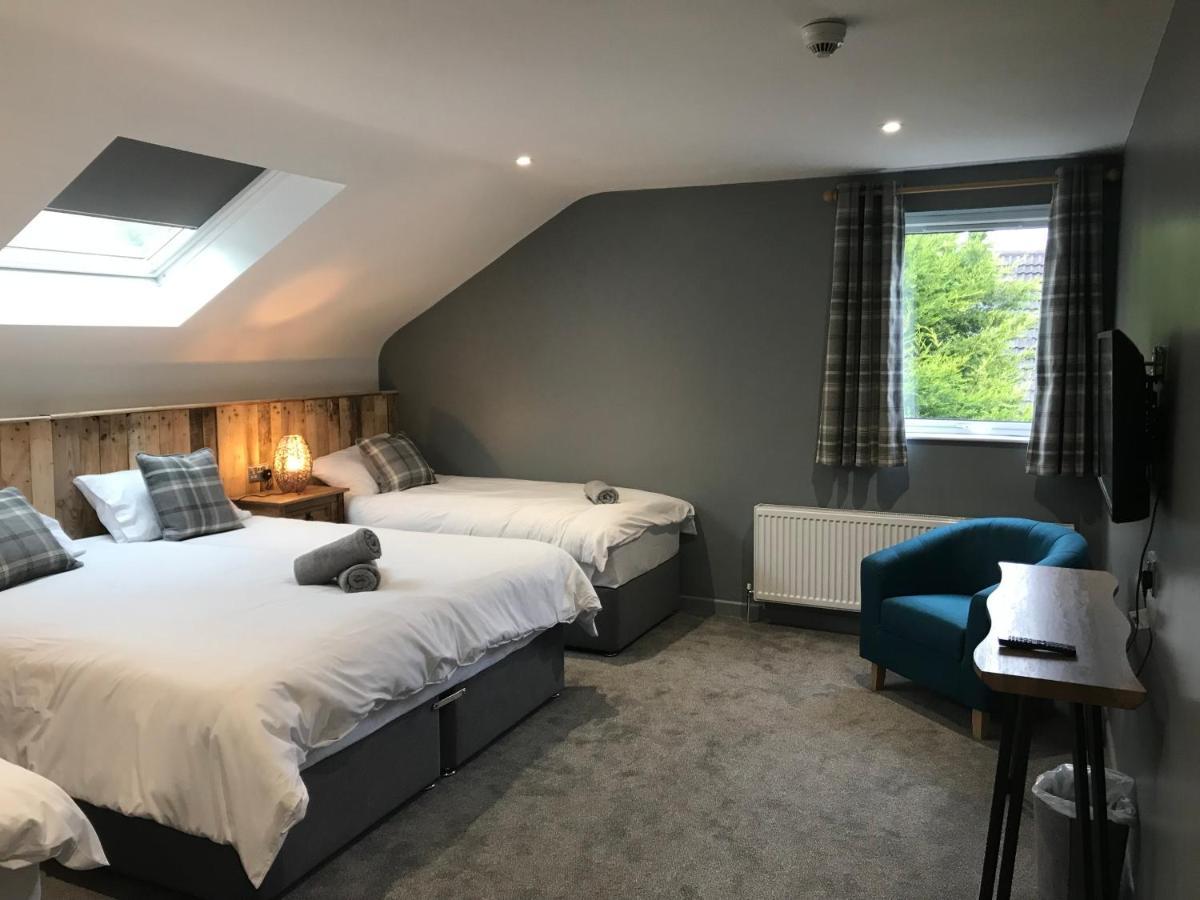 Rostrevor Mountain Lodge - Glamping Pods - Revive Sauna & Hot Tubs Exteriör bild