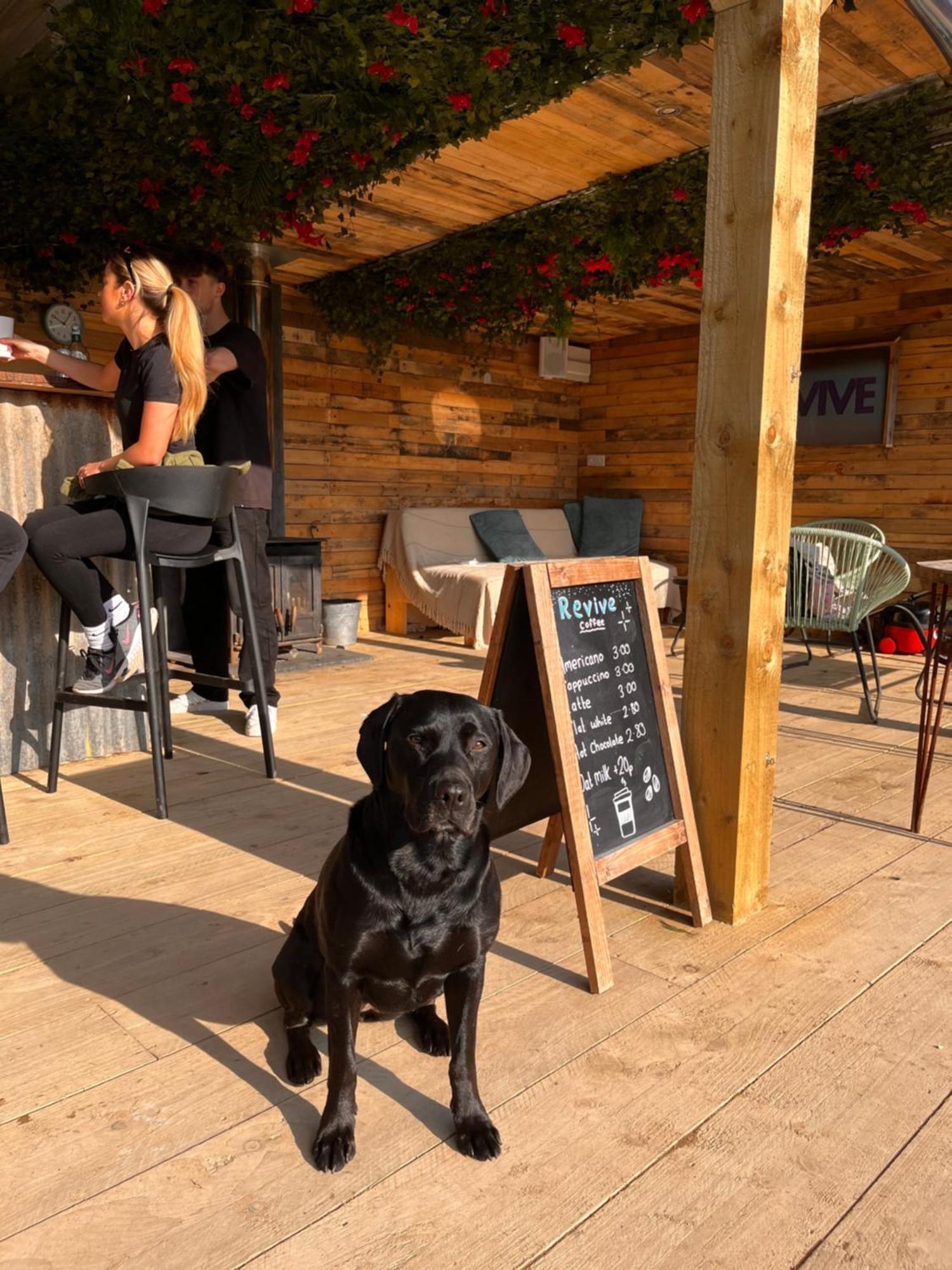 Rostrevor Mountain Lodge - Glamping Pods - Revive Sauna & Hot Tubs Exteriör bild